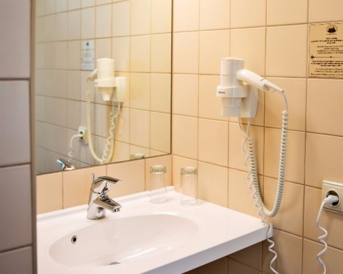 Vonios kambaryje rasite plaukų džiovintuvą ir vonios/higienos priemones 